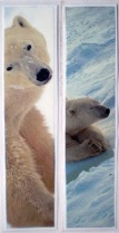 polar bear bookmarks