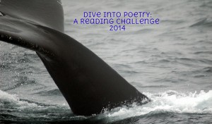 dive into poetry